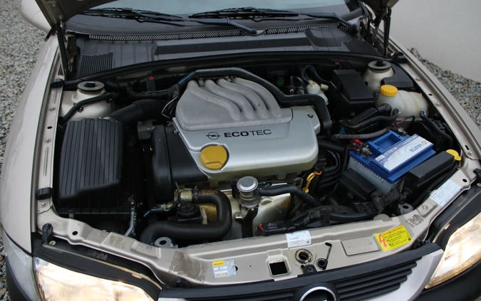 Opel Vectra cena 9900 przebieg: 80000, rok produkcji 1997 z Janowiec Wielkopolski małe 254